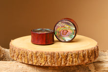Load image into Gallery viewer, Blood Wood Round Plugs with Abalone Shell (Pair) - Bare Bones Organics