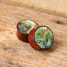 Load image into Gallery viewer, Blood Wood Round Plugs with Abalone Shell (Pair) - Bare Bones Organics