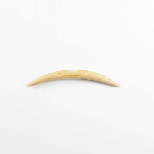 Hevea Wood Septum Tusk with Notch