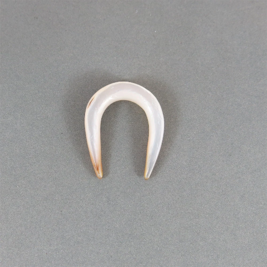 Mother of Pearl Shell Horseshoe Septum Retainer